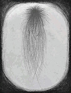 Virus